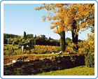 Chianti