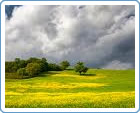 Maremma