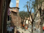 Il Campo
