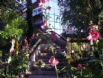 Casa Vacanze&nbsp;Montecatini Terme&nbsp;Terme