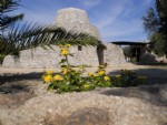 Agriturismo&nbsp;Morciano di Leuca&nbsp;Campagna