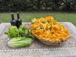 Sant'Anna&nbsp;Farmhouse&nbsp;0&nbsp;stars&nbsp;Pomarance